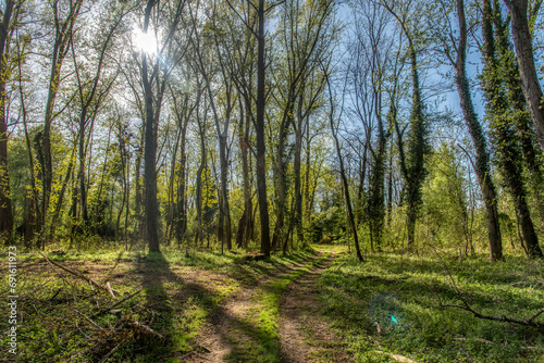 Bobri, Dolnja Bistrica is a meander from river Mura photo