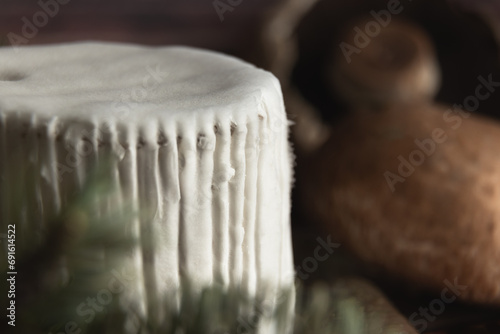 Saint-André french cheese - composition with spruce branch and Portobello mushrooms