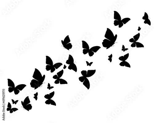 set of butterflies