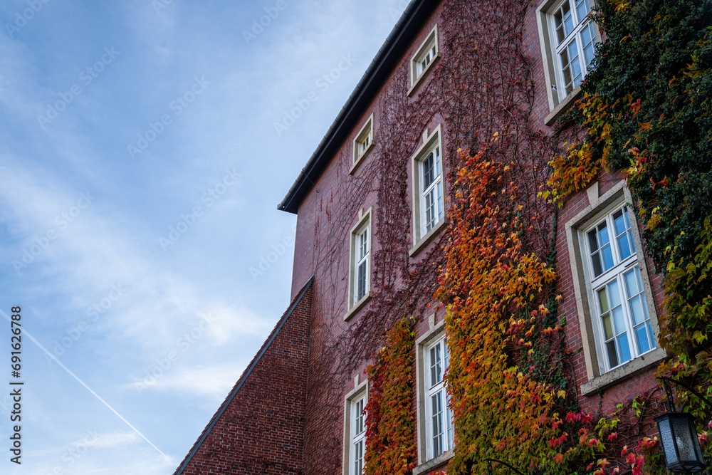 The building is covered with climbing plants - ivy during autumn