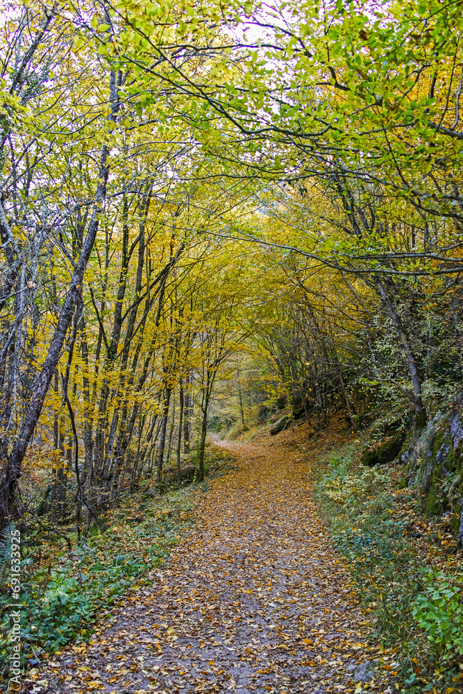 Struilitsa Ecotrail at Devin river gorge, Bulgaria