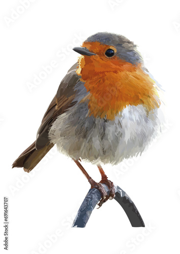 Robin Vector