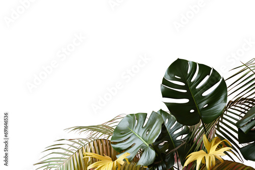 holiday hallo green freshness fresh foliage fashion design colours cheese beautiful beach garden forest decoration jungle tree pastel Tropical leaves monstera yellow palm pink background copy space