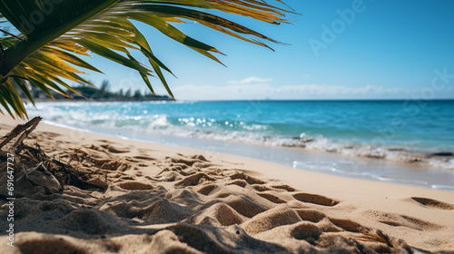 Deserted sunny beach with palms  yellow sand and light blue water. Concept of a paradise