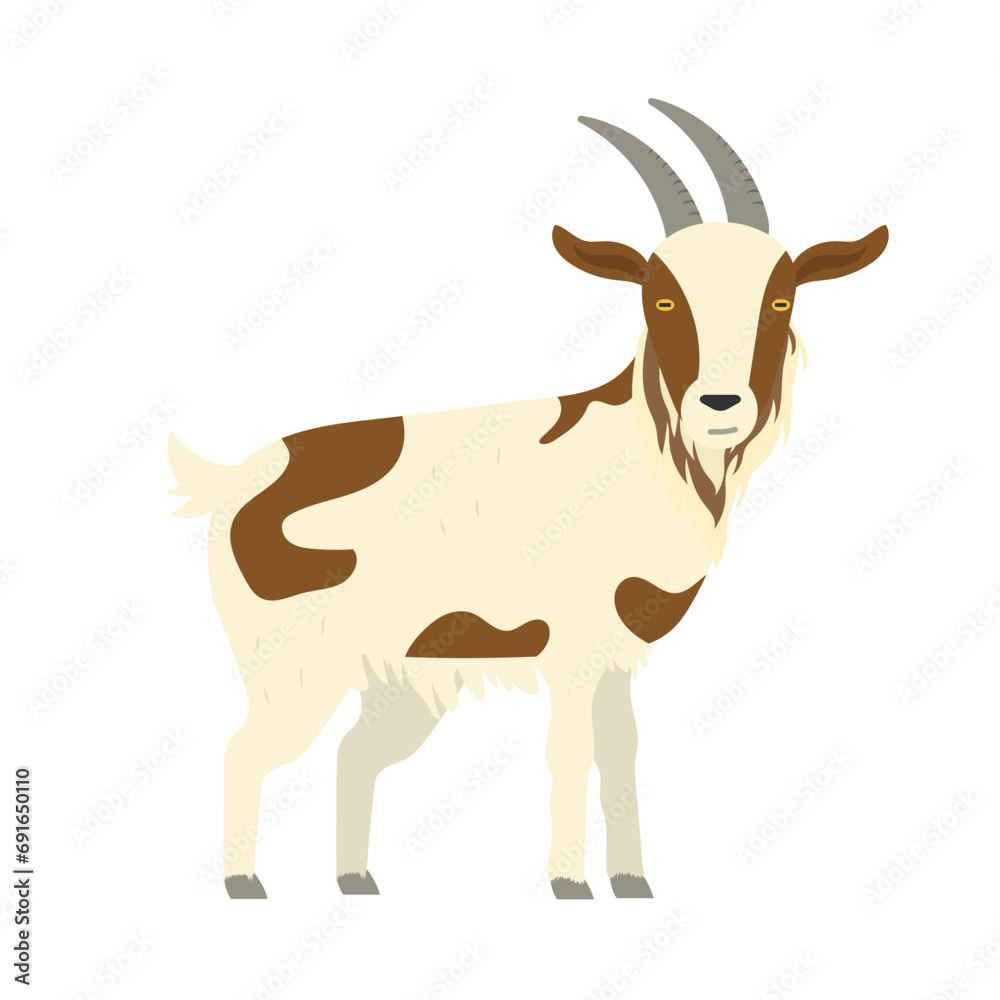 cute goat illustration cute goat illustration