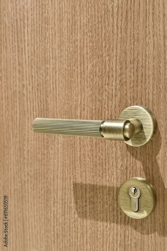 Metallic handle and lock on wooden door