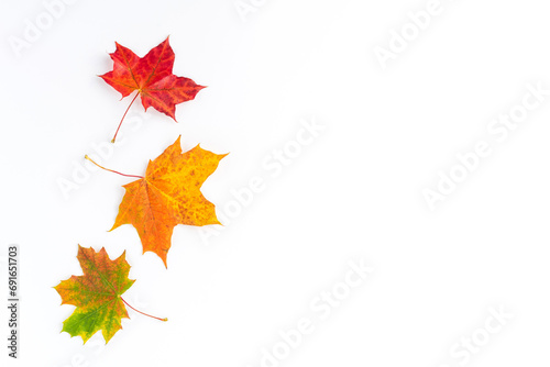 Composition of colourful autumn leaves on white wooden background with copyspace. Fall concept