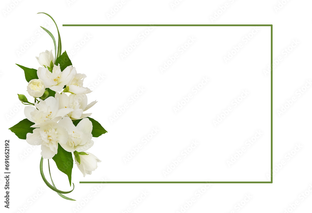 Fototapeta premium Floral arrangement with Jasmine (Philadelphus) flowers and a green frame isolated on white or transparent background