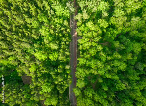 Aerial view of the road in the summer forest with green high pine or spruce trees.