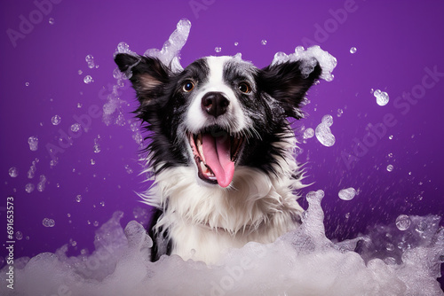 A joyful dog is taking a bath, surrounded by soap suds, splashes and bubbles.