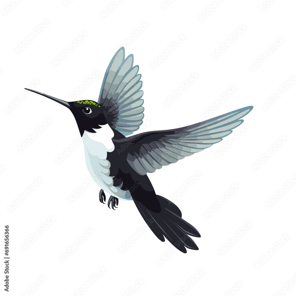 Obraz premium hummingbird on a branch