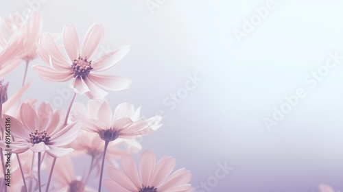 A visually soothing abstract background featuring delicate flower petals arranged in a minimalist style with a central empty space for adding text  perfect for serene and aesthetic designs.