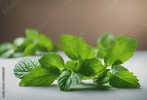 Collection of fresh green mint leaves twigs and tips in different positions isolated photo