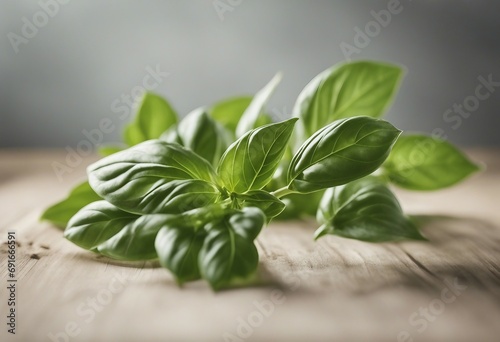 Mediterranean herbs fresh basil set of six isolated leaves twigs and tips over a transparent background