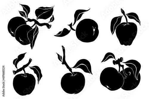 Silhouette,stamp of apple fruit.Vector graphics. photo