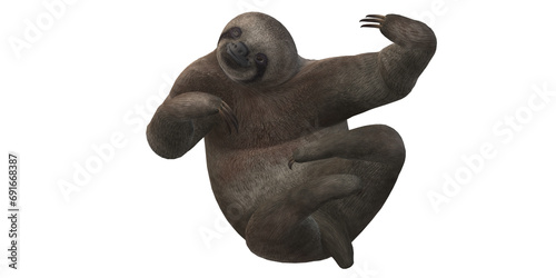 Sloth isolated on a Transparent Background