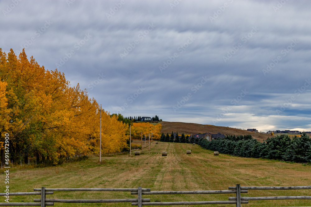 A drive through Foothills County Alberta Canada