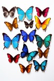 A group of colorful butterflies resting on a white surface. Suitable for nature, summer, and beauty-related projects