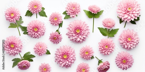 A bunch of pink flowers on a white surface. Perfect for floral arrangements and spring-themed designs