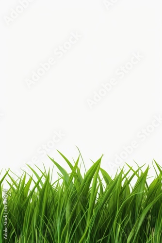 A close-up view of a bunch of green grass. Perfect for nature-themed designs and projects