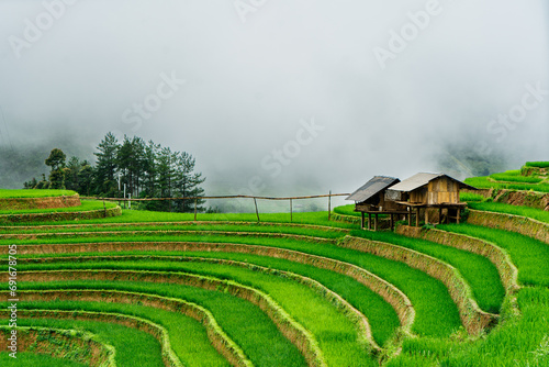 Obraz na plátně The terraced rice fields in fog at mu cang chai vietnam