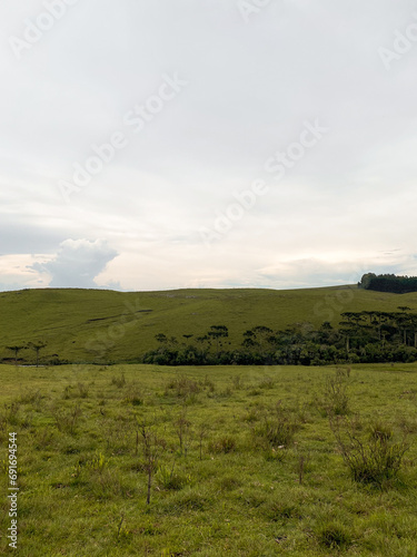 Green field landscape with mountains and clouds