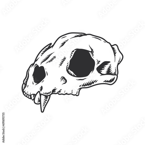 Seketch Animal Skull Hand Drawing