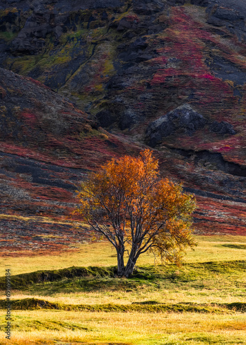 Iceland