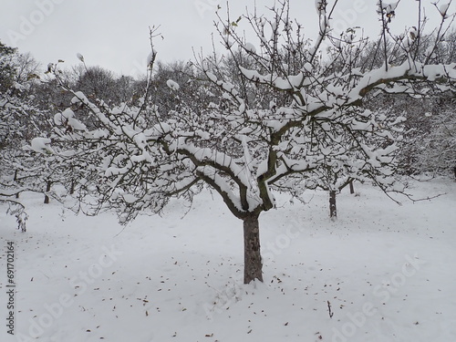 prahue petrin hill mountain garden in snowy winter photo