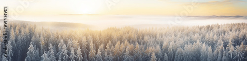 winter panorama from a drone view of a coniferous forest covered with snow, long narrow panoramic view, wildlife landscape, aerial view photo