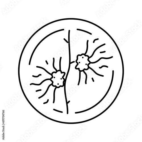witch hazel cosmetic plant line icon vector. witch hazel cosmetic plant sign. isolated contour symbol black illustration