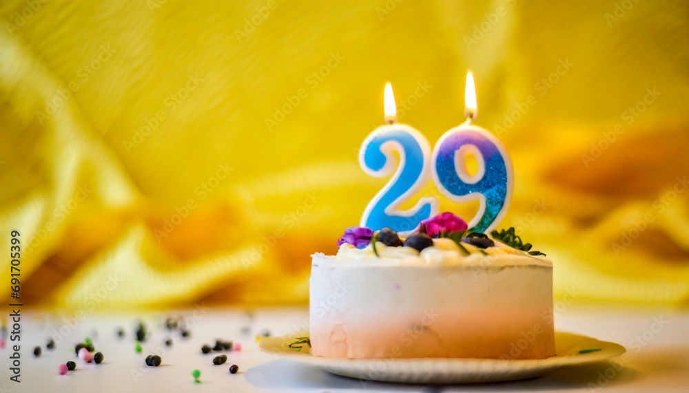 29 Number Birthday cake. Twenty-nine number birthday cake. 29 Number Birthday cake. Twenty-nine number birthday cake.