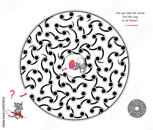 Best labyrinths. Can you help the mouse find the way to its friend? Logic puzzle game. Brain teaser book with maze. Kids activity sheet. Educational page for children. Vector cartoon illustration.