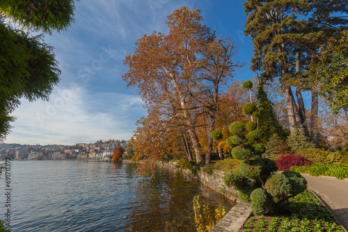 Colorful and curiously shaped autumn trees on the shore of Lugano lake, Switzerland. Concept about gardening, tranquility and relaxation