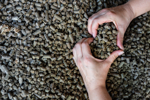 Photo of heart shaped hands on heap of rapeseed cake.