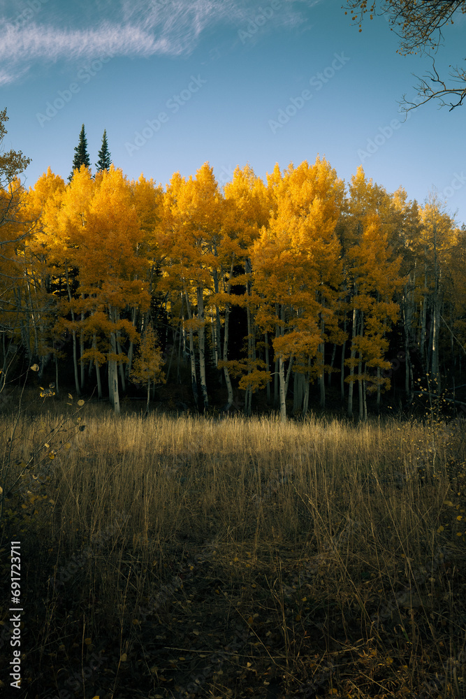 Fototapeta premium autumn sunset in utah