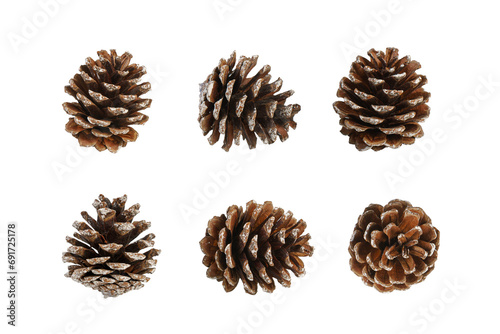Pine cone isolated over white, transparent background, PNG. Set of multiple different angles of pine cone, element for design, Christmas decor.