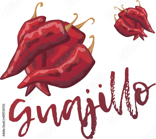 Guajillo chili vector illustration, hot pepper cartoon icon isolated on white background, chile ingredient for mexican kitchen dishes, sun dried red spicy vegetable photo