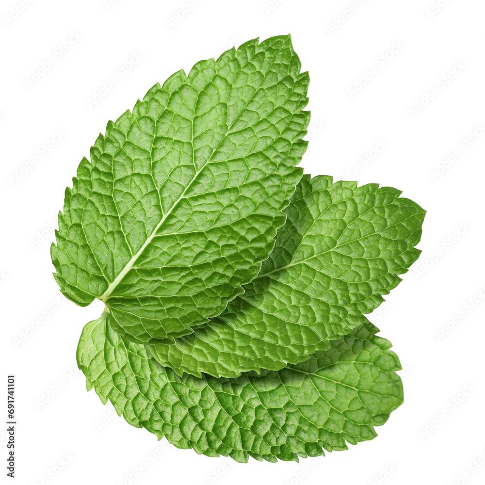 Obraz premium Fresh green mint leaves isolated on white