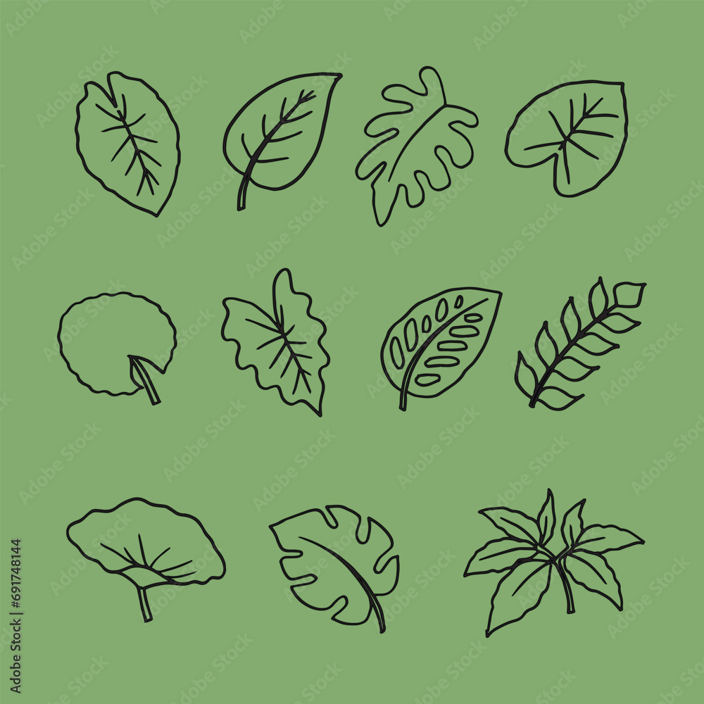 Set of flowers and leaves line hand drawn illustration vector , Element design texture