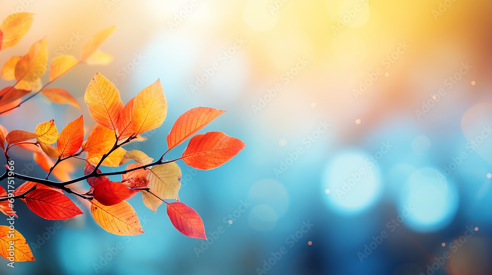 colorful autumn background in panoramic format