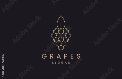 grape logo design icon vector illustration