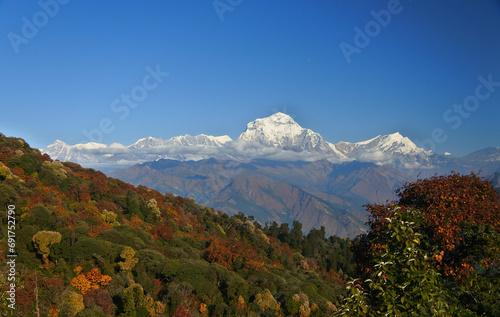 Himalayan mountain range seen from Poon Hill Lookout.