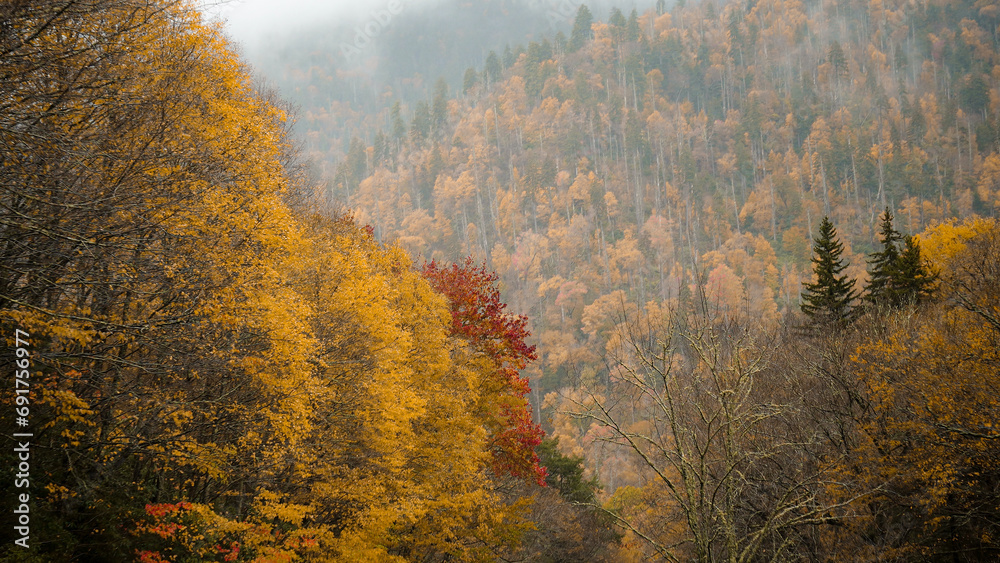 Great Smoky Mountains National Park, Tennessee. Blue Ridge Mountains, North Carolina. Appalachian. hiking. Good views for colorful outdoor foliage. gorgeous peak fall color. red yellow orange golden.