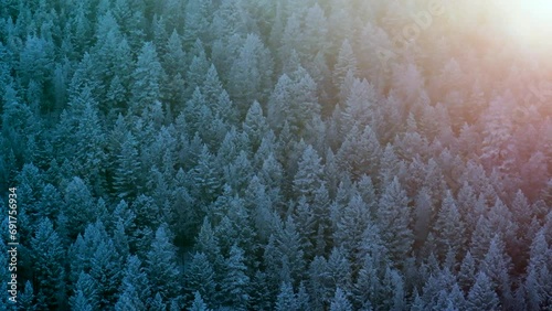 Colorado Christmas shaded cool blue snowing golden hour light flares below freezing frosted first snow pine tree forest Evergreen Morrison Denver Mount Blue Sky Evans cinematic aerial drone bird view photo