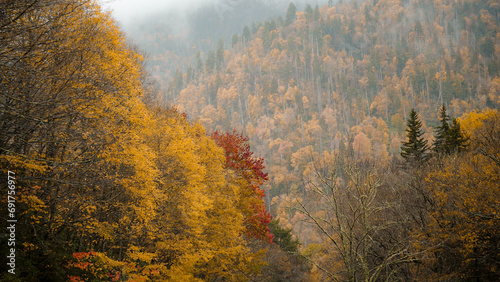 Great Smoky Mountains National Park, Tennessee. Blue Ridge Mountains, North Carolina. Appalachian. hiking. Good views for colorful outdoor foliage. gorgeous peak fall color. red yellow orange golden.
