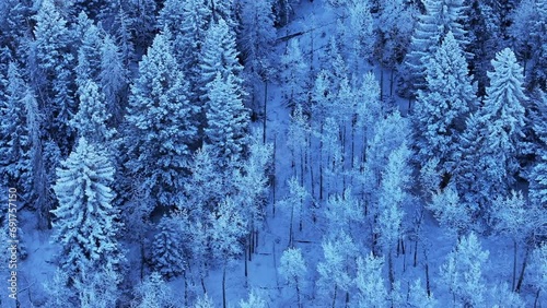 Colorado Christmas shaded cool blue Rocky Mountains below freezing frosted first snow aspen trees forest Evergreen Morrison Denver Mount Blue Sky Evans cinematic aerial drone circle right motion photo