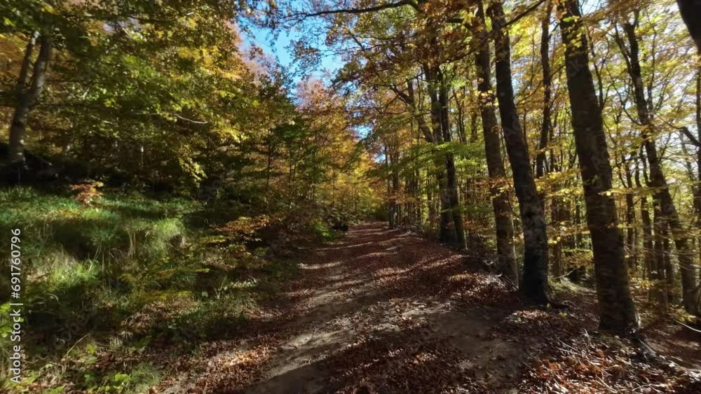 POV point of view driving in car vehicle on dirt gravel mountain road through colorful autumn tree forest in countryside, 4k POV point of view driving in car vehicle on dirt gravel mountain road through colorful autumn tree forest in countryside, 4k