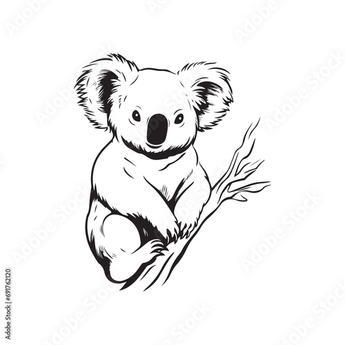 Koala Vector Images