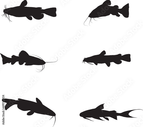catfish Silhouette Set